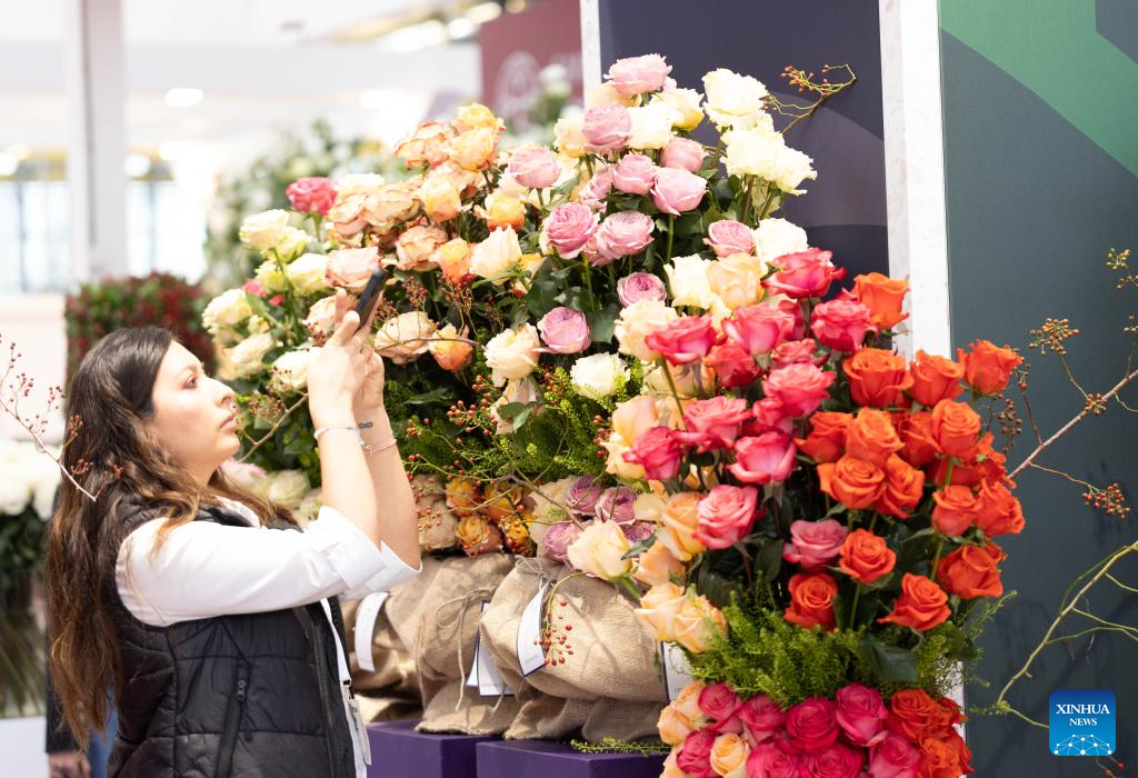 Blumenpräsentation auf der IFTF 2025